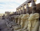 Egypt, Karnak, ram-headed Sphinxes near second pylon with statues of the pharaoh Ramesses II between their feet