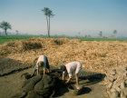Egypt Arabs casting mud bricks