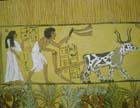 Senedjem and his wife Iyneferti after death in the garden of Talu, tomb painting 1200 BC, Thebes, Egypt