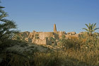 Egypt, Siwa, ruins of Temple of the Oracle of Amun (sixth century BC) visited by Alexander the Great in 331 BC, in middle of oasis, view North from Jabal Dakhrour