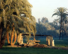 Egypt, pot-well near Qena at sunrise