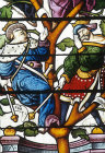 Detail from Tree of Jesse window, 1515, Autun Cathedral, France