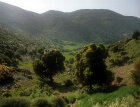Greece, valley near Bassae, Arcadia, terraced wheatfields