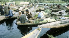 India, Kashmir, Lake Dal, lakeside traders