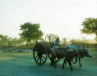 Ox cart, India