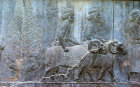 Iran, formerly Persia, Persepolis, capital of the Achaemenid Empire, bas-relief of Persians leading rams