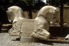 Iran, formerly Persia, Persepolis, capital of the Achaemenid Empire,  sculpted double-headed horse, capital of column