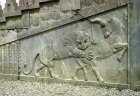 Iran, formerly Persia, Persepolis, capital of the Achaemenid Empire, bas-relief of lion attacking bull, audience hall (Apadana) of the palace of  Darius I, begun 515 BC