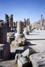 Ruins of the Apadana palace, fourth to sixth century BC, Persepolis, Iran
