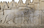 Relief of lion attacking bull, east Apadana (audience hall) staircase, Persepolis, begun by Darius the Great in 515 BC, capital of Achaemenid empire, Iran