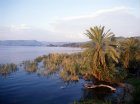 Israel, the Sea of Galilee early morning, looking west