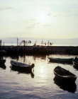 Israel, Galilee, fishing boats in the early morning at Tiberias harbour