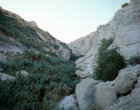 Israel, Davids Spring at Ein Gedi in the Hills of Judah overlooking the Dead Sea