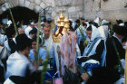 Israel Jerusalem Religious Jews pray with the four species at the Western Wall during the festival of Sukkot