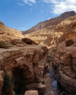 Israel, Ein Gedi, hidden canyon Wadi Arugot