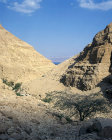 Israel, Ein Gedi, view down Wadi Arugot to the Dead Sea