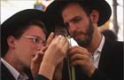 Religious Jews inspect a Lulav (palm branch) as they shop for the four species for Sukkot, Jerusalem, Israel