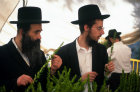 Israel Jerusalem religious Jews inspect Hadass (myrtle) branches as they shop for the four species of Sukkot