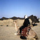 Bedouin on camel by tent in the Negev, Israel