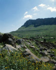 More images from Mount Arbel