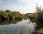 Israel, the river Jordan south of Sea of Galilee