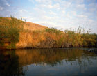 Israel the Jordan River south of Galilee in the early morning sunlight