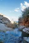 Israel, Ein Gedi, pool below Davids Spring