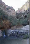 Ein Gedi, pool below Davids Spring, Israel