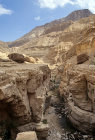 Israel, Ein Gedi, gorge near David
