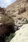 Israel, Ein Gedi, dried stream near David