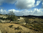 Watch tower in a vineyard near Hebron, Israel