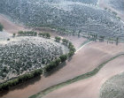 Israel, aerial view of cultivated valley between Hebron and Lackish