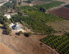 Church of the Beatitudes built in 1930s above Sea of Galilee, aerial view, Galilee, Israel