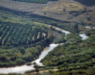 Israel, aerial view of River Jordan South of Galilee