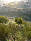 Israel, Jerusalem, the Hinnom Valley and Haceldama, Field of Blood, across the valley in the early morning