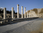 Israel, Beth Shean, columns lining Palladius Street dating from the 4th century AD
