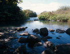Israel, source of the River Jordan at Dan