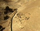 Israel, Wadi Qilt, sheep and goats by the water conduit, aerial view