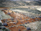 Israel, Samaria, aerial view of terraces between Bethel and Shilo