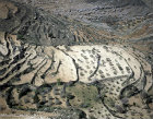 Israel, Samaria, aerial view of terraces between Bethel and Shiloh