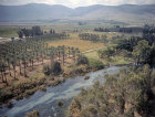 Israel, aerial view of Ein Harod River below Mount Gilboa