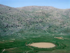 Sheep near man-made pond below Mount Hermon, Israel