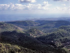 Israel, Carmel Mountains looking west