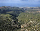Israel, view looking across Mount Carmel towards Haifa