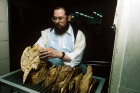 Israel Jerusalem Ultra-Orthodox Jews make Matza for Pesach  Passover  Jew removing Matza from the baking rack