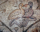Israel, Galilee, mosaic of two ducks sitting in a lotus flower in the Byzantine Church at Tabgha 6th century