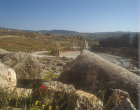 Oval forum, first century seen from temple of Zeus, Jerash, Jordan