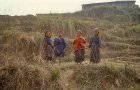 Sherpa children, Nepal