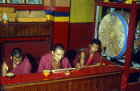 Buddhist monks, Kathmandu, Nepal