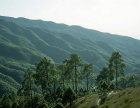 Undulating hills between Kathmandu and Nagarkot, Nepal